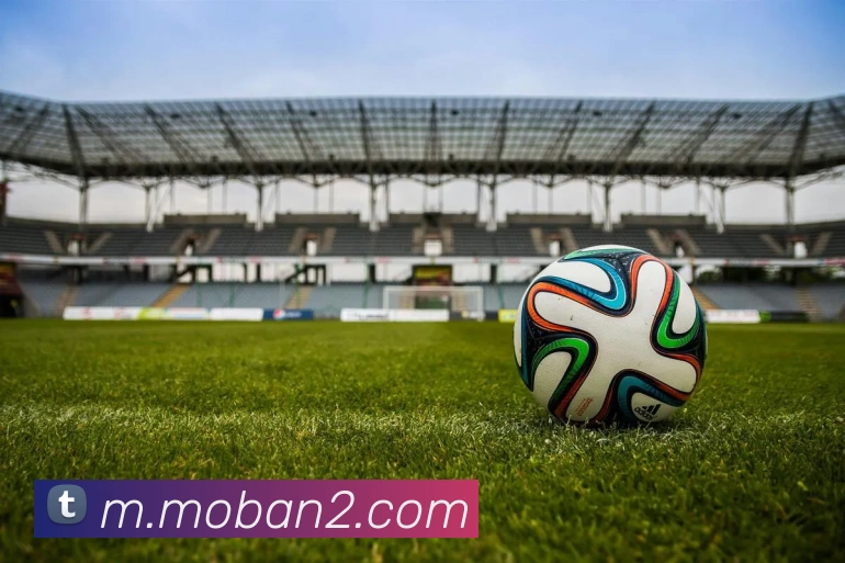 佰利乐发展历程